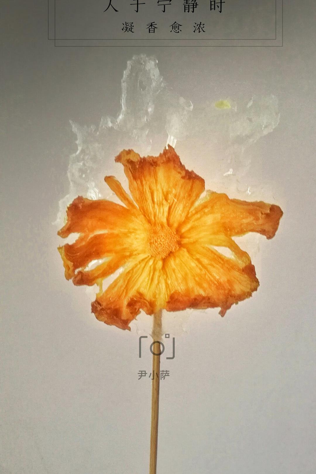 菠萝干果花