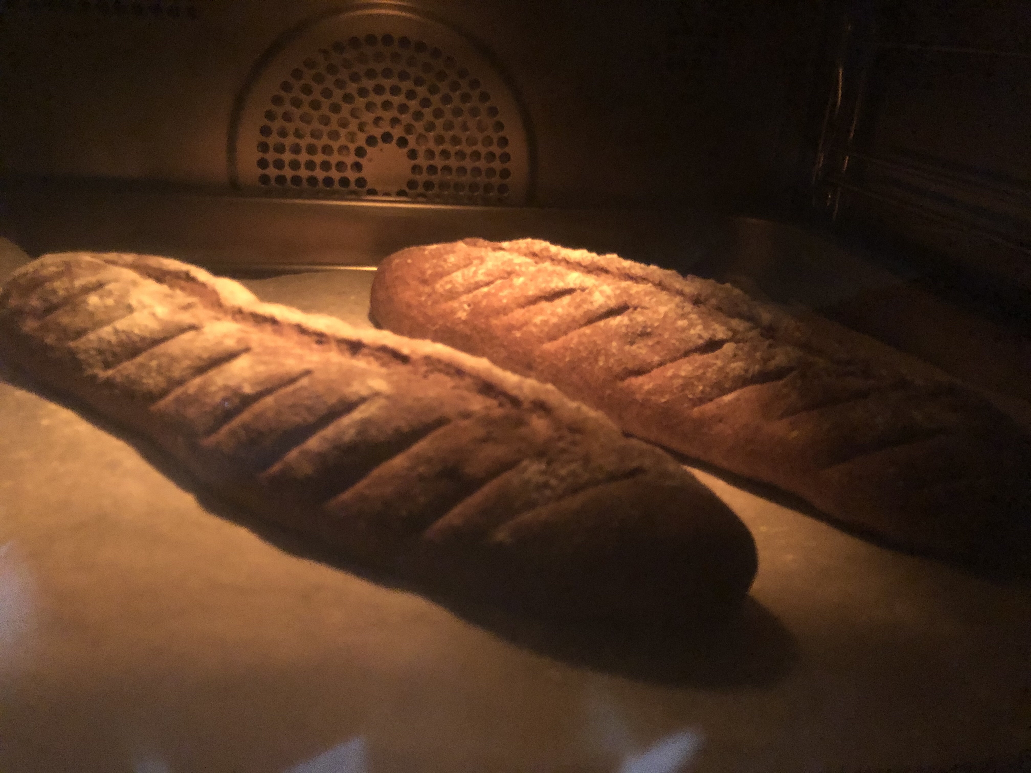 慢碳高纤维纯全麦面包 小美版的做法 步骤5