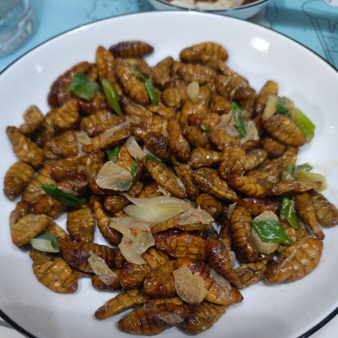 炒金丝蛹