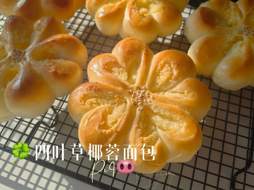 幸运四叶草椰蓉面包|每一瓣都是爱你的形状|香甜小面包