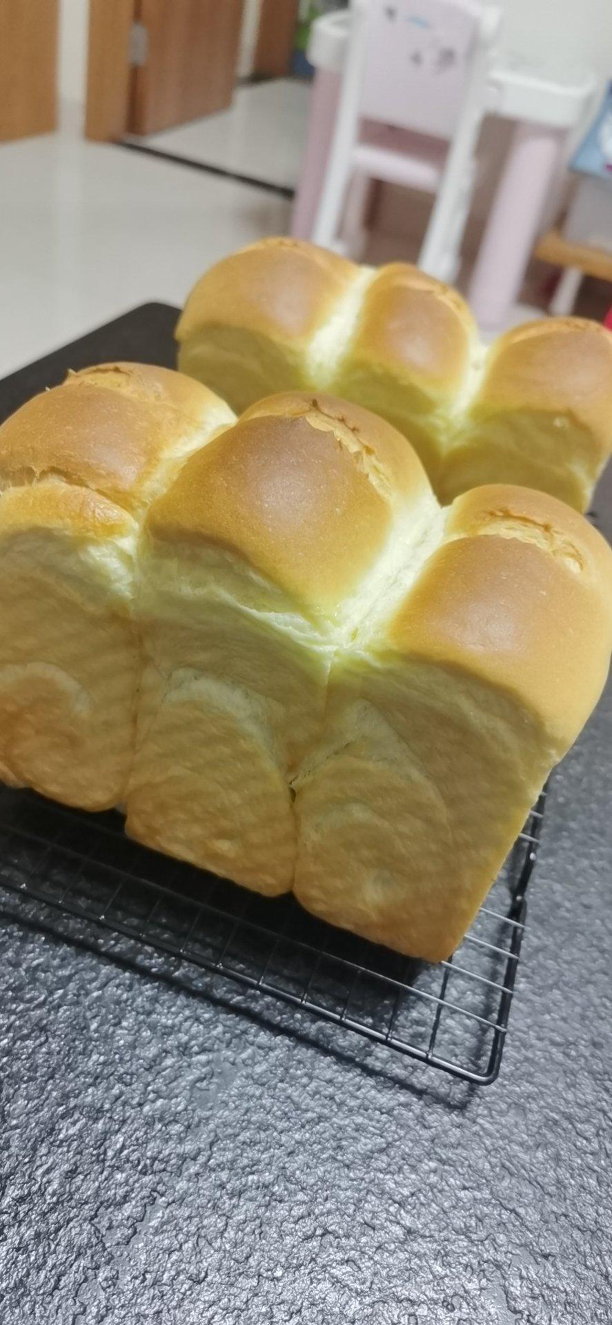 🌟只需一发的软妹子🌟奶香吐司🍞