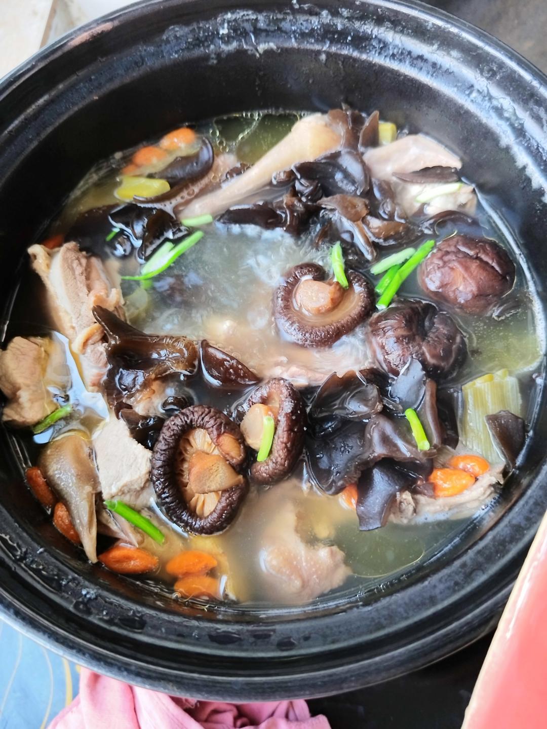清炖鸽子汤