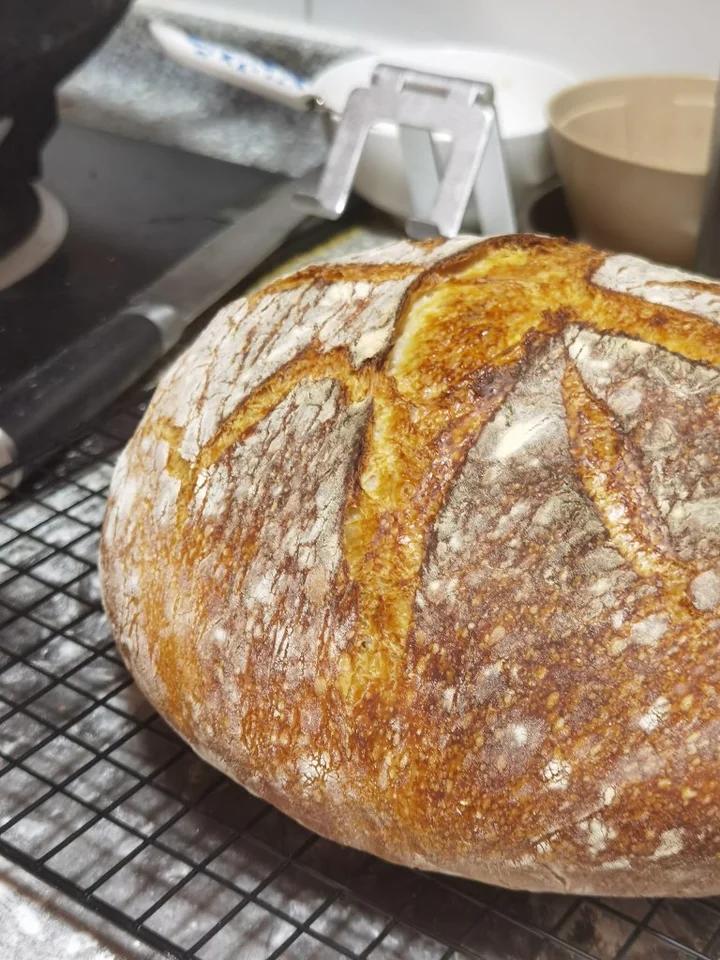 不可能减肥的欧包🥖（超简单！免揉！无油无糖）