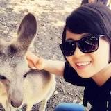 优优猪与喜羊羊