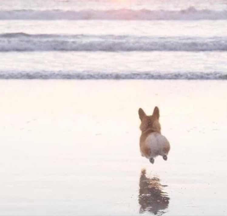 秋秋九九