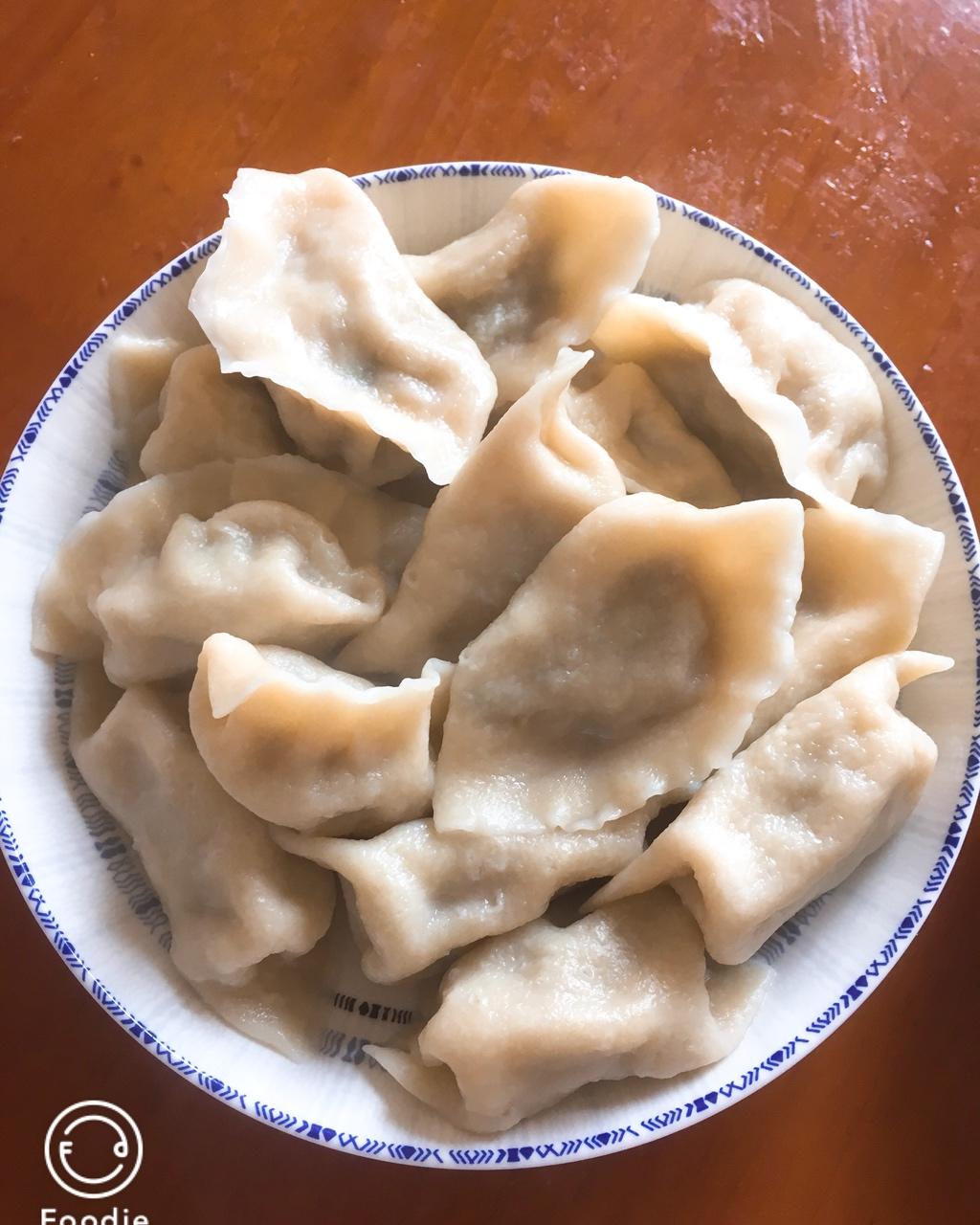 维他命tt做的白萝卜鲜肉水饺