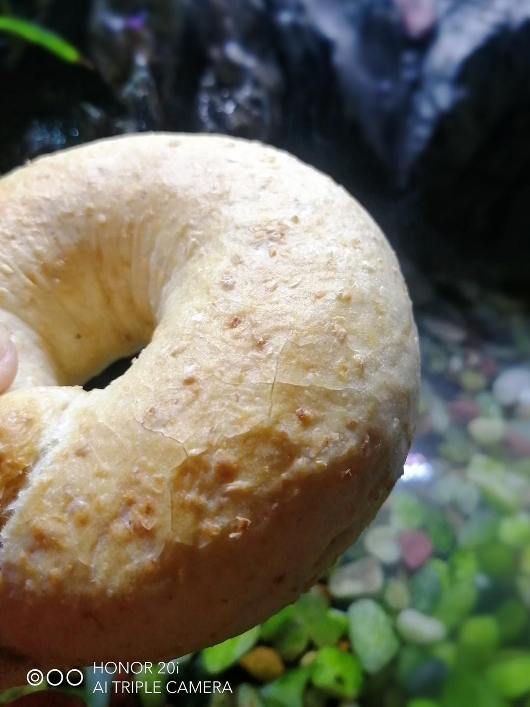 全麦贝果