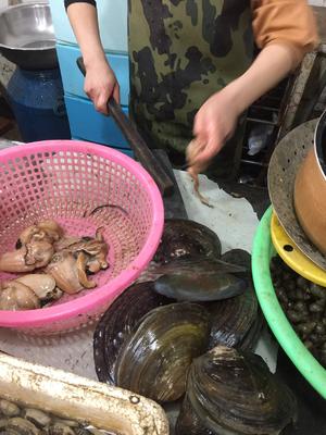 河蚌炖咸肉的做法 步骤1