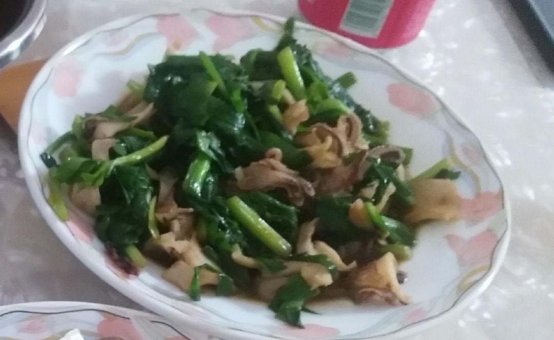 韭菜炒梧桐花（海兔子）