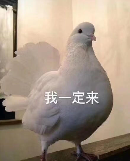 我来学习交作业