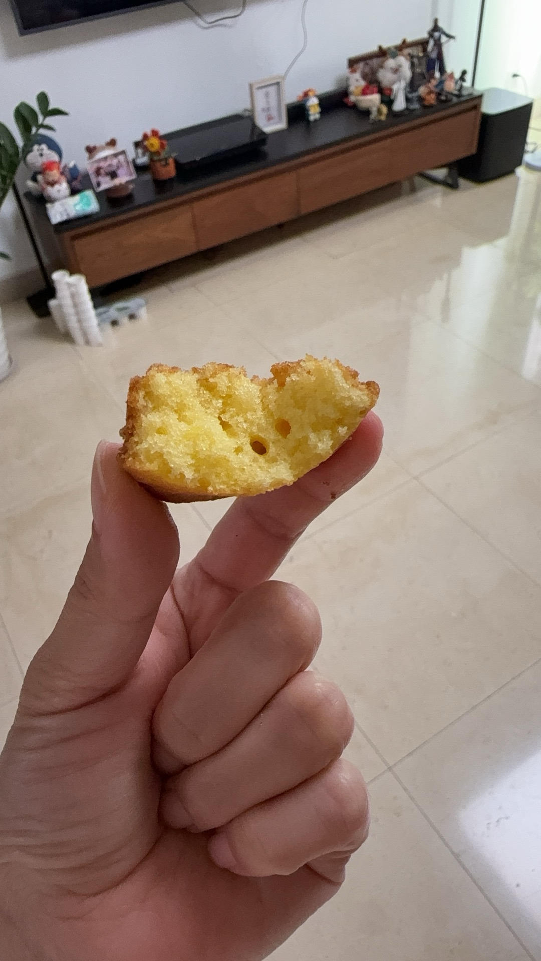 玛德琳（蓝带方）