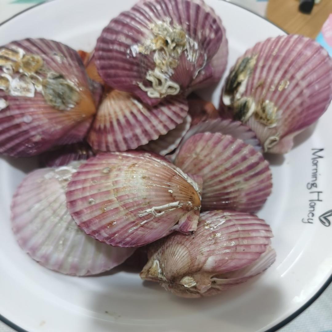 「煮扇贝」好吃有技巧🤙🤙🤙