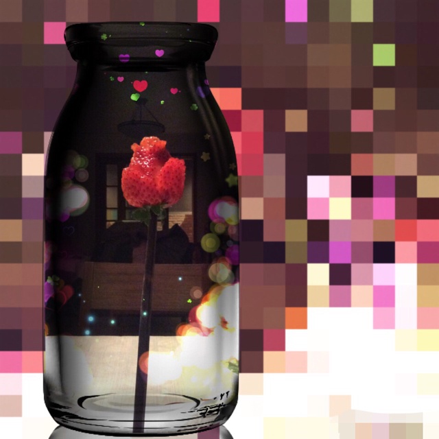 草莓玫瑰花