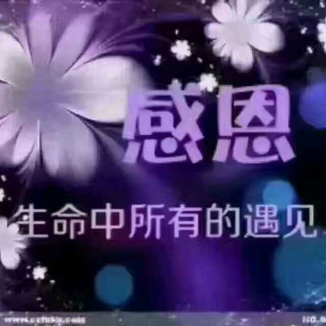 琴琴51的厨房