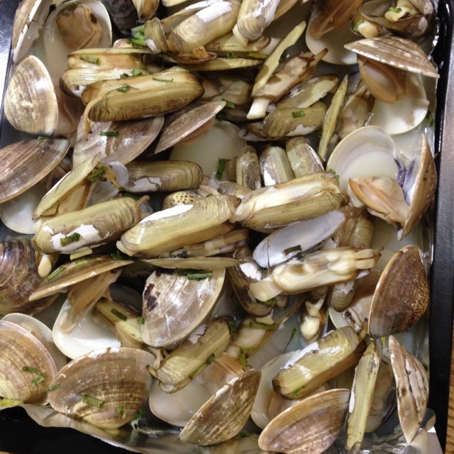 烤白蛤的全部作品