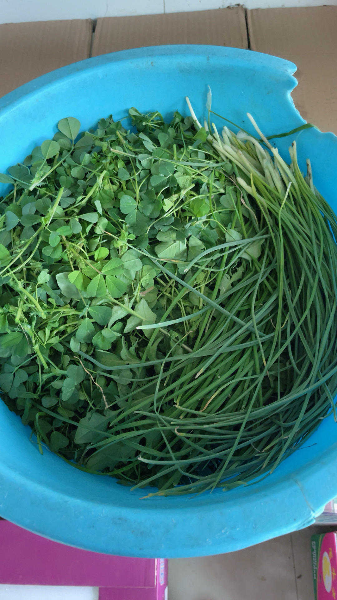 米其林餐厅【草头饼】，用不要钱的野菜就能做！