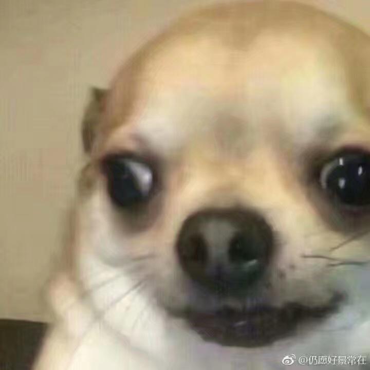 美食博主kiko