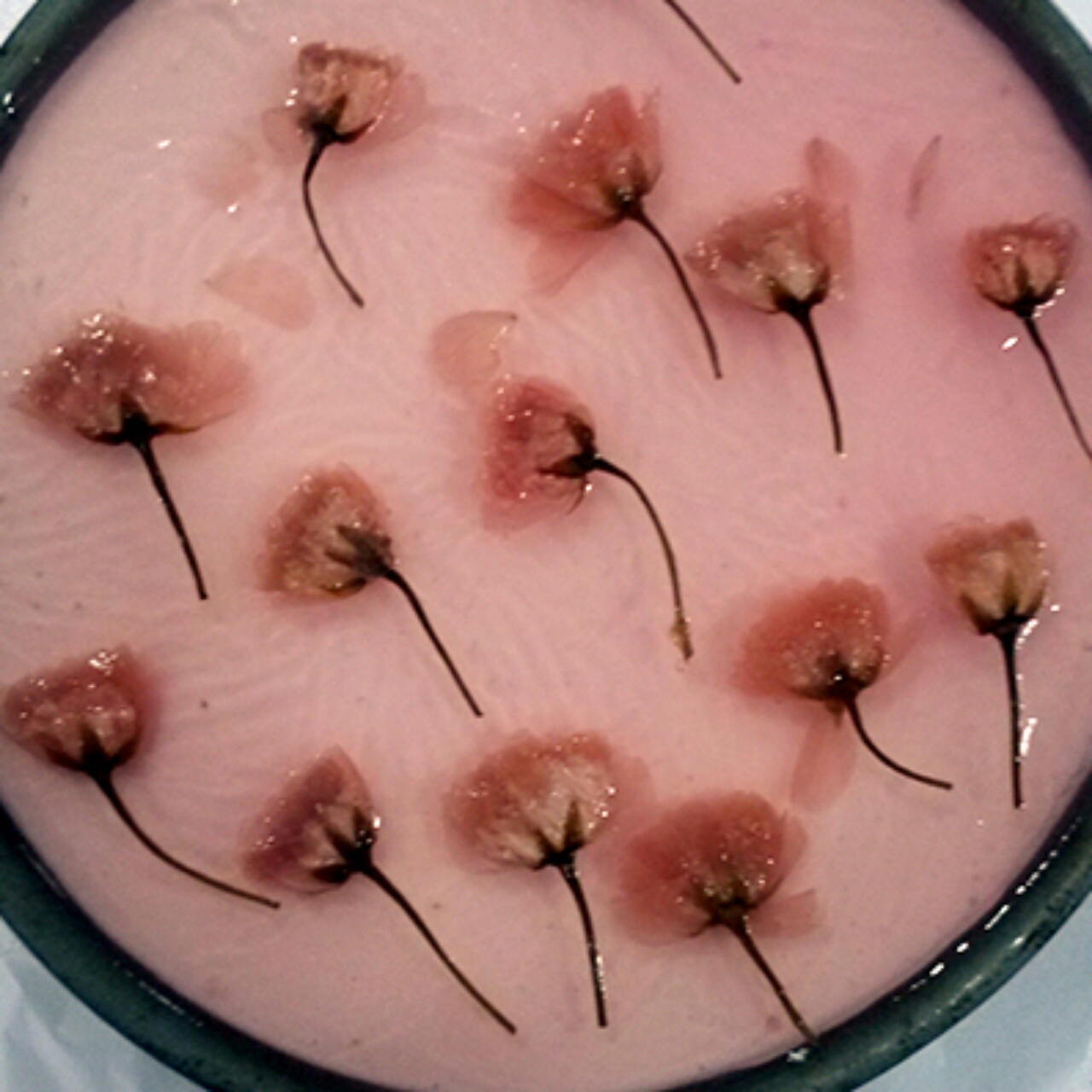 樱花渐变慕斯蛋糕（6寸）