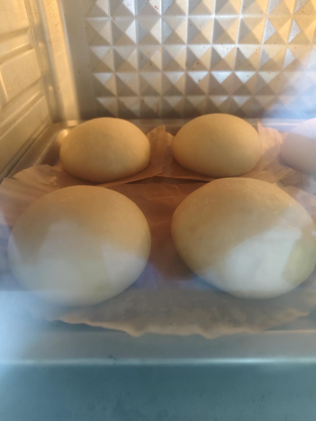 汉堡胚