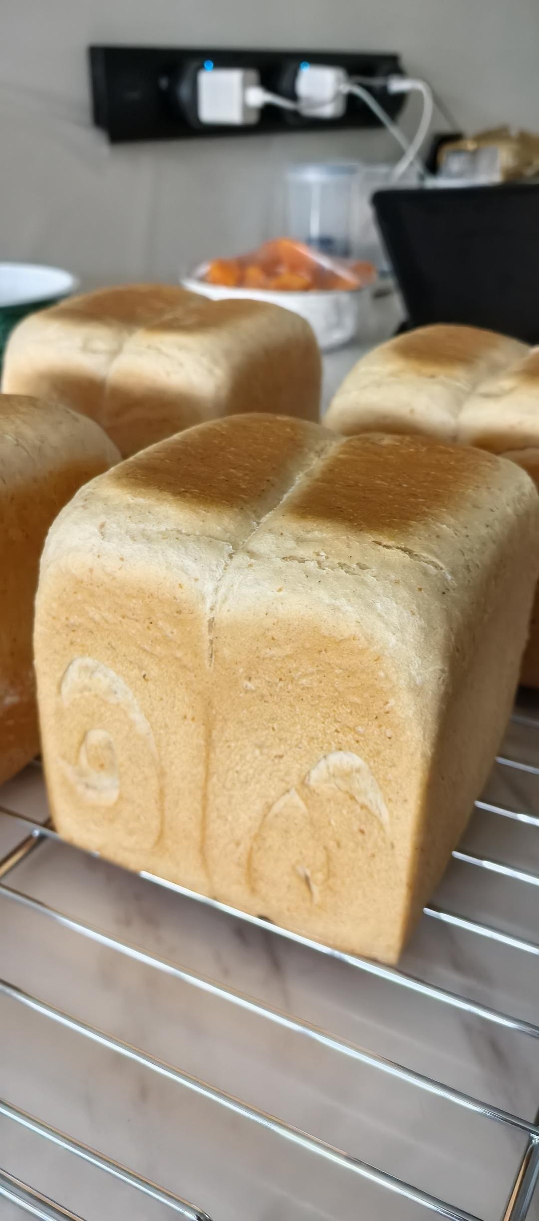 波兰种全麦吐司