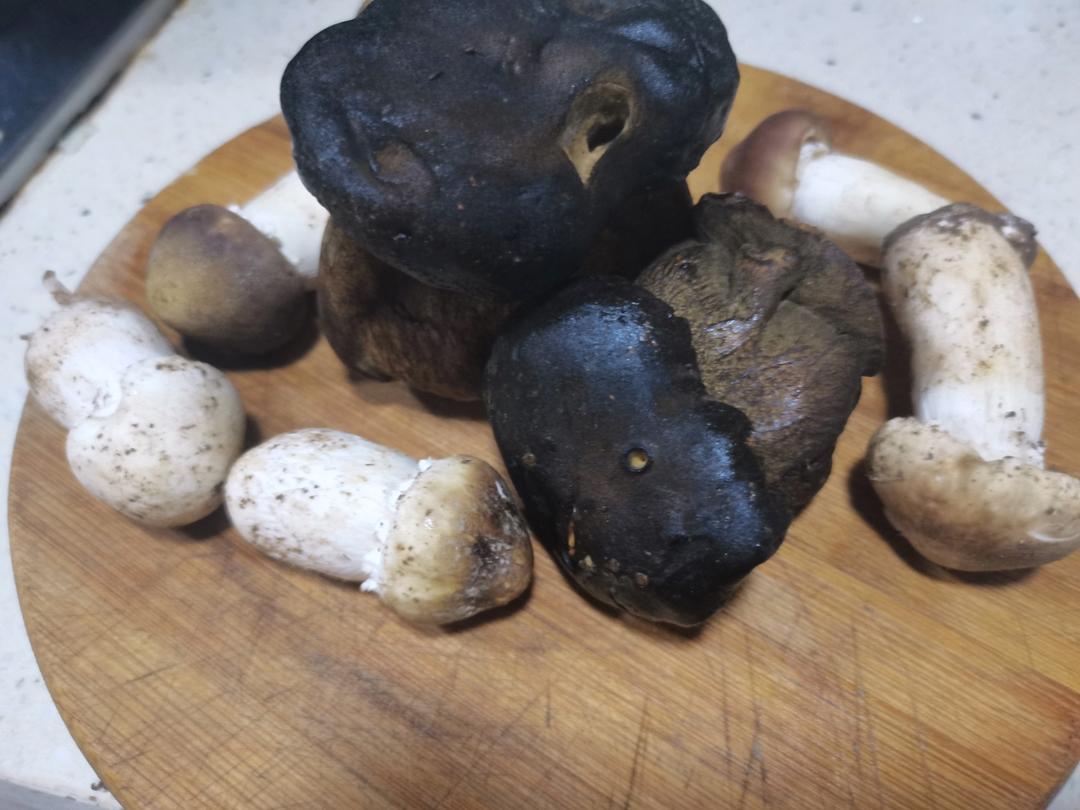 爆炒牛肝菌