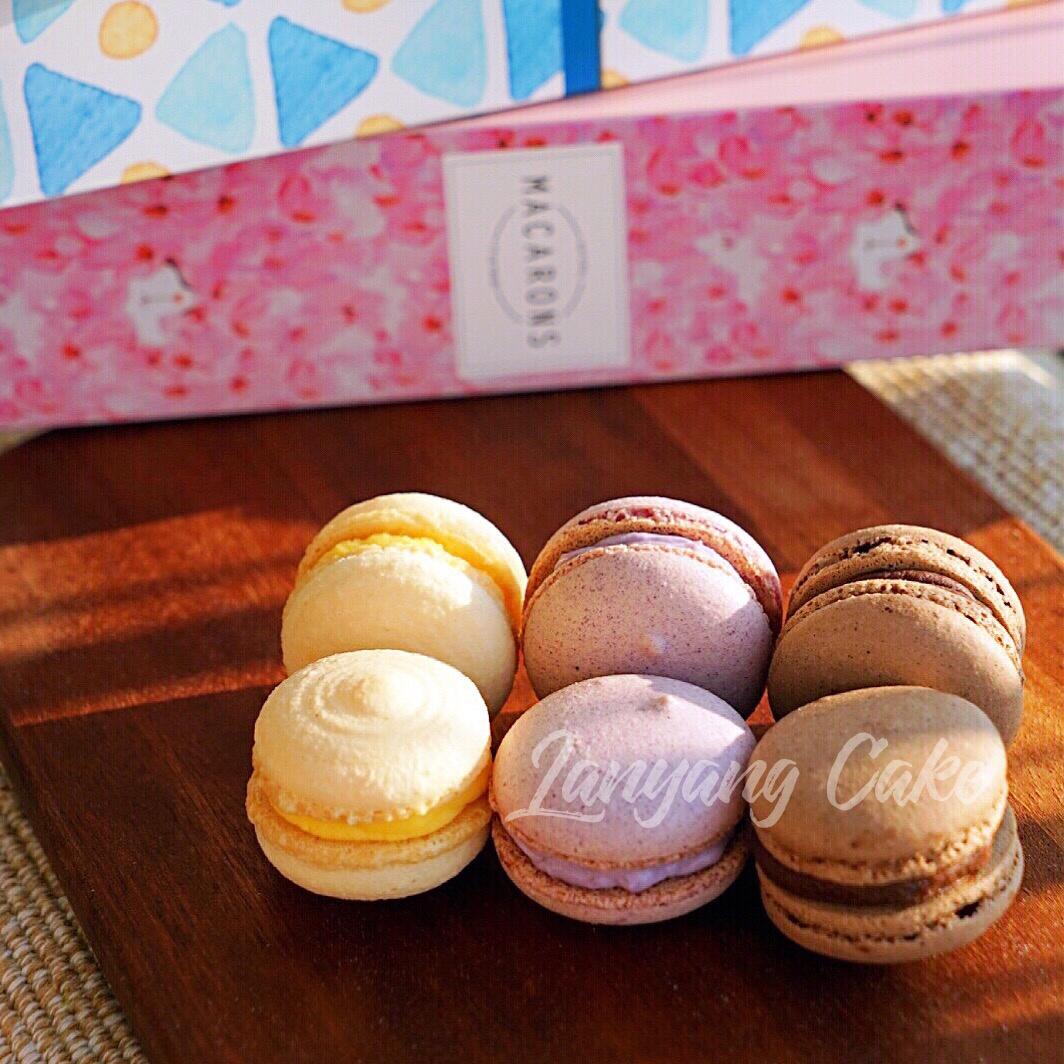 马卡龙（汉堡马配方）