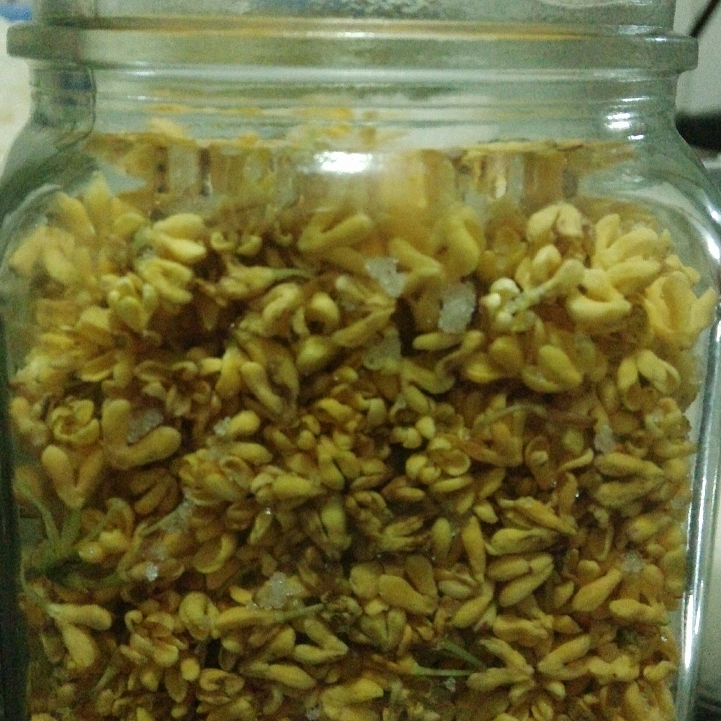 自制糖桂花