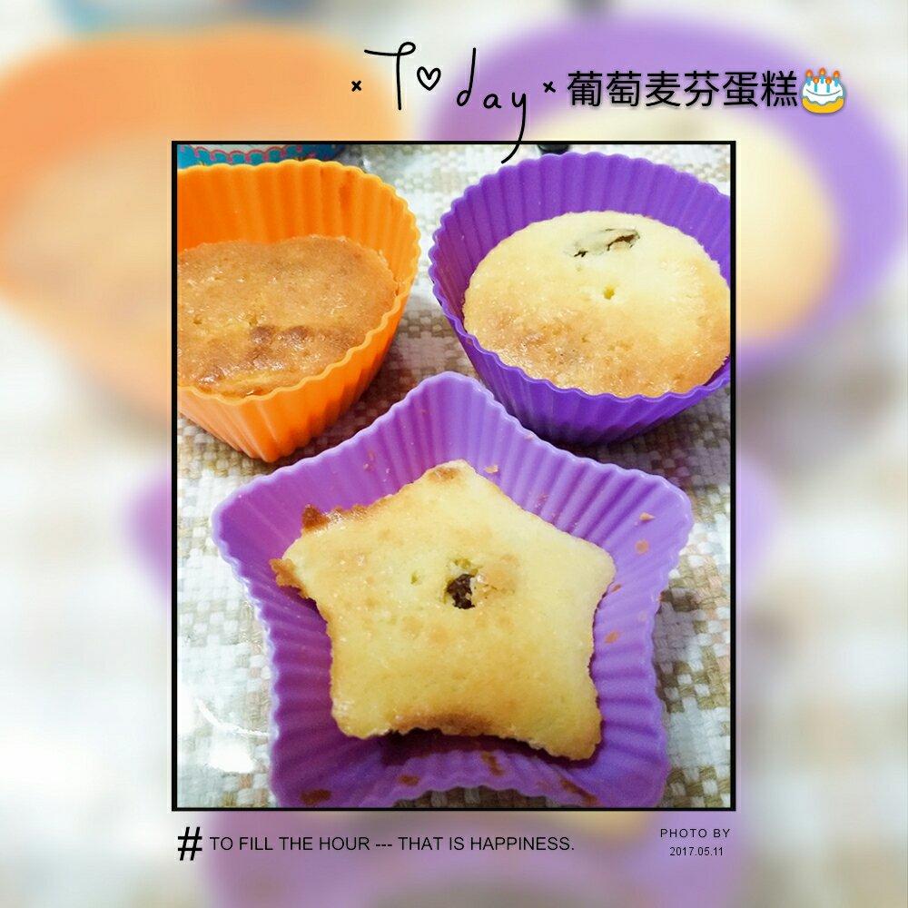 0失败的葡萄干麦芬