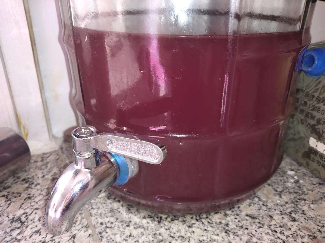 🍇葡萄酒自酿🍇留住夏天的味道