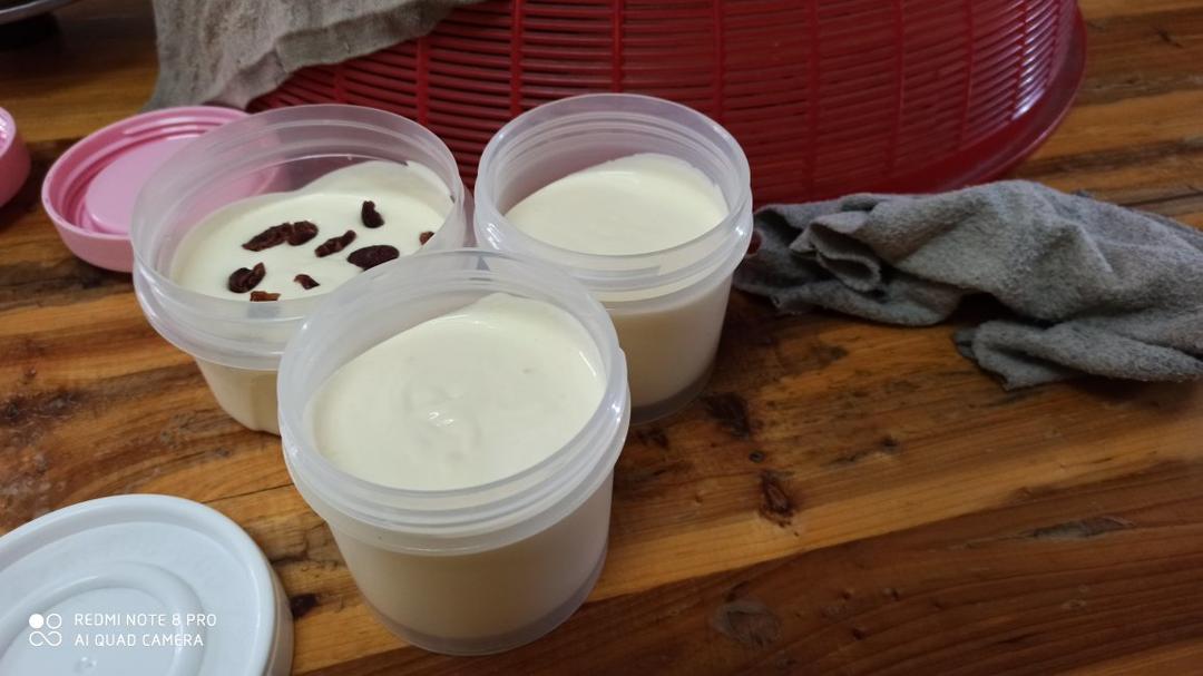 比哈根达斯还好吃的冰激凌（蛋黄是熟的，可以放心吃）