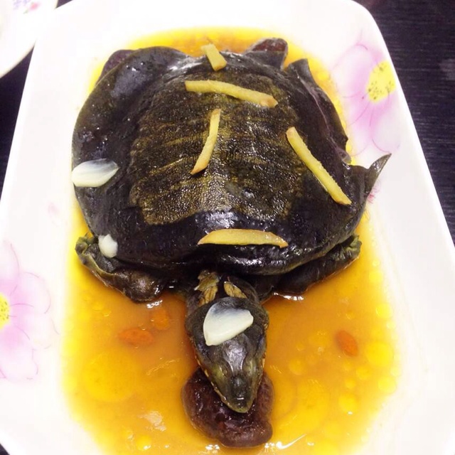 様様做的清炖野生甲鱼汤