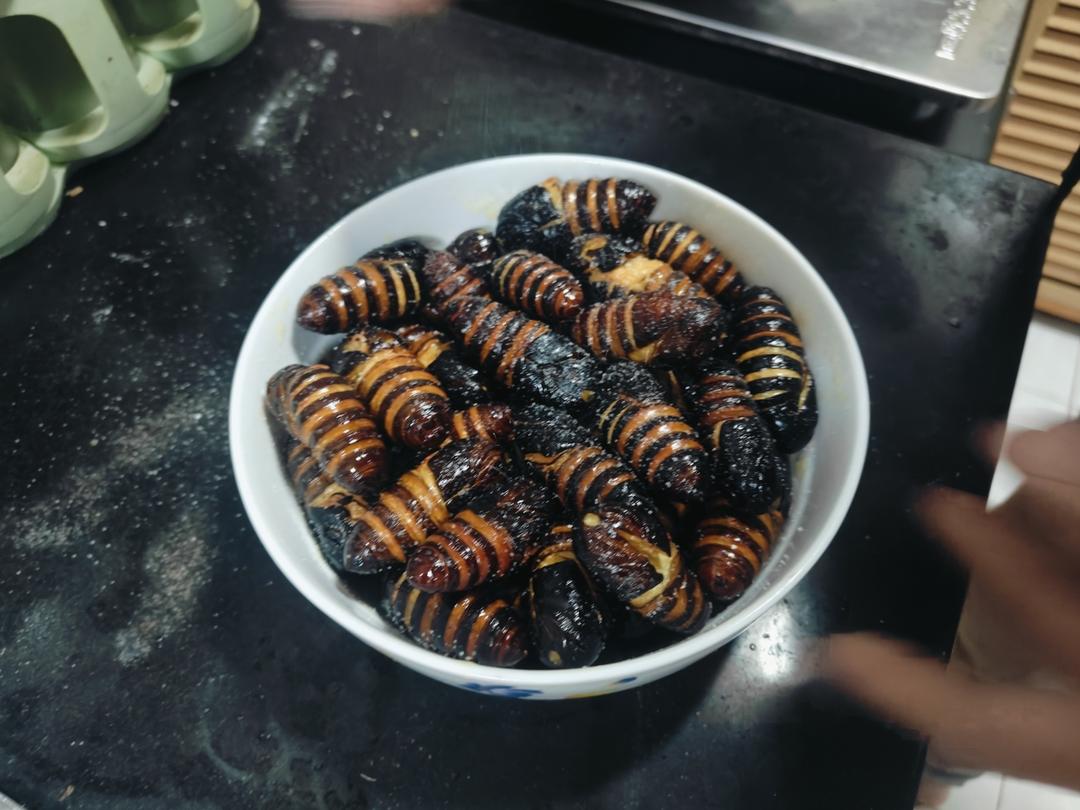 炸茧蛹【东北特色菜】