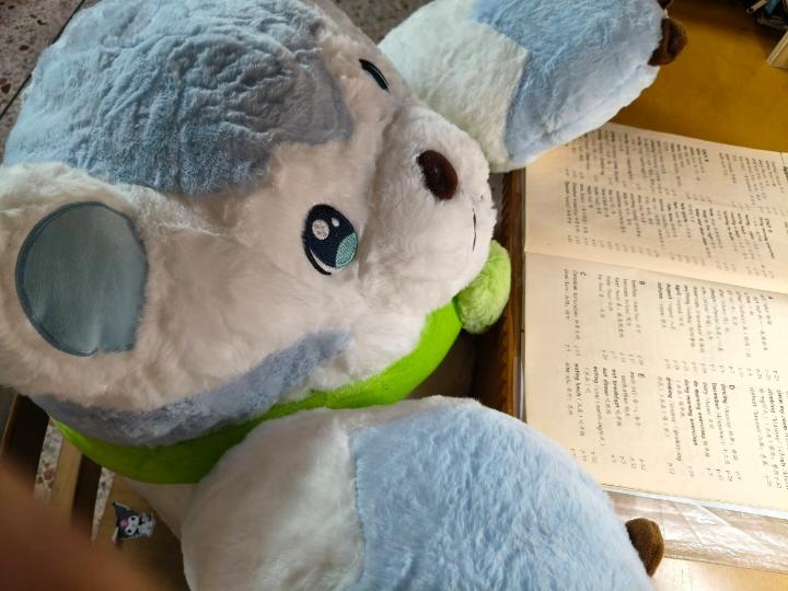 在下凯凯酱是也