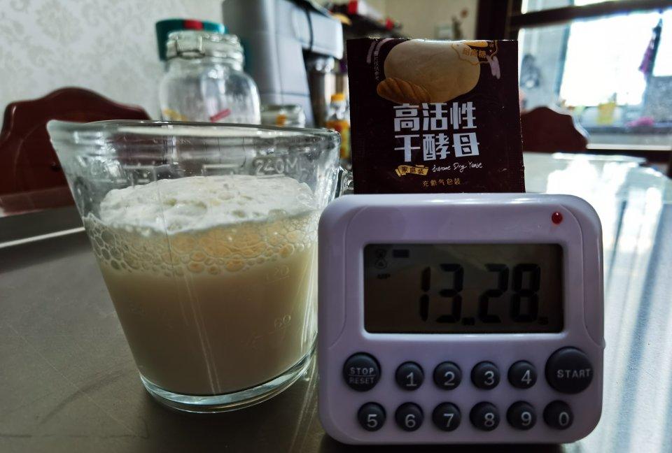 怎么检测酵母活性