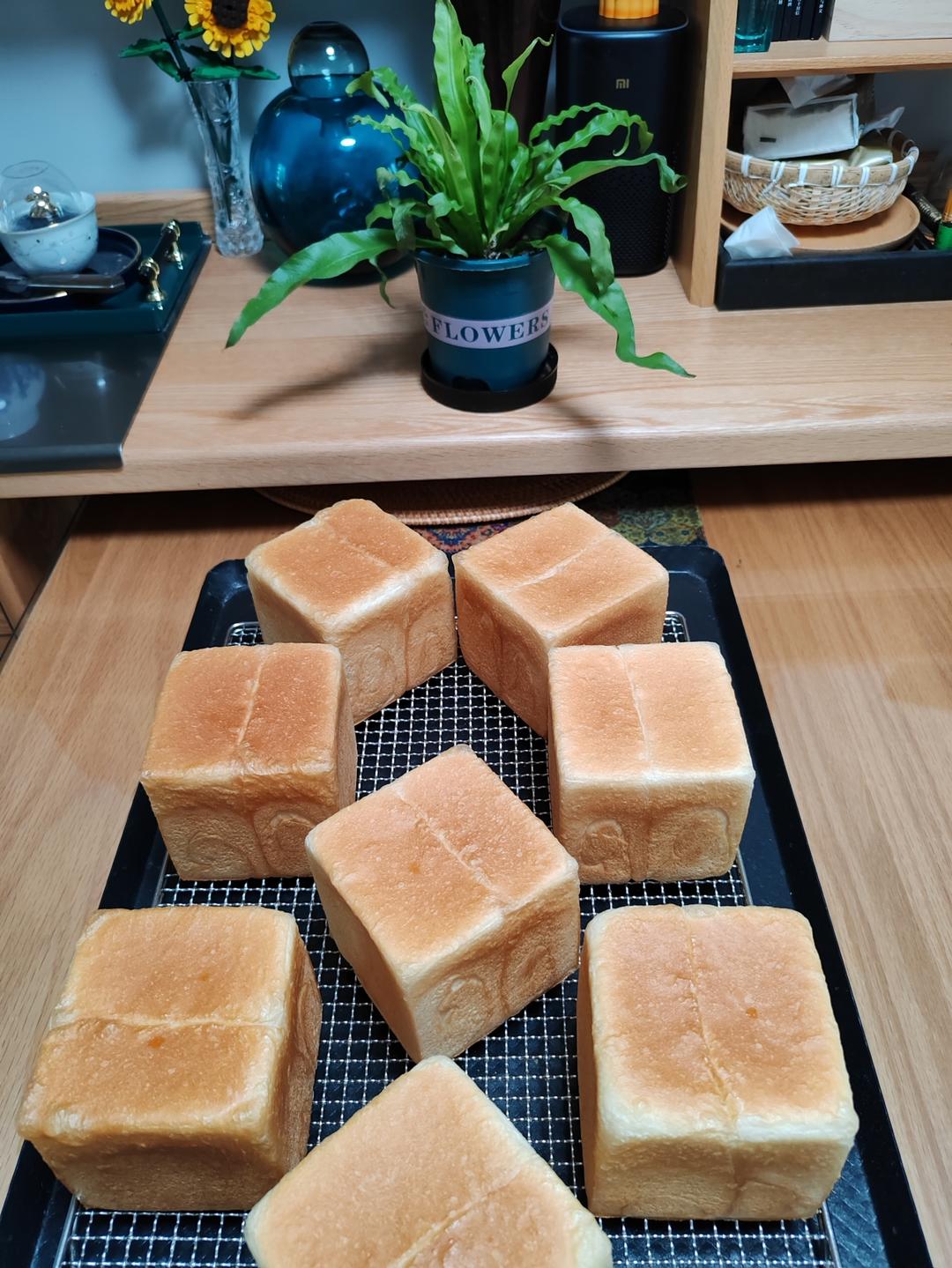 生吐司面包日记~大喵老师的生吐司