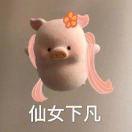 寡人有疾Airplane