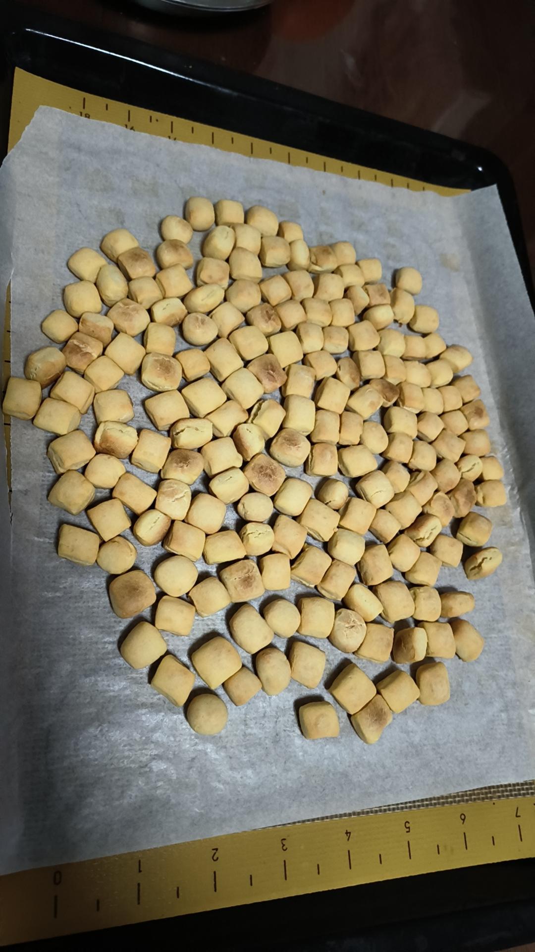 宠物零食饼干—羊奶小方
