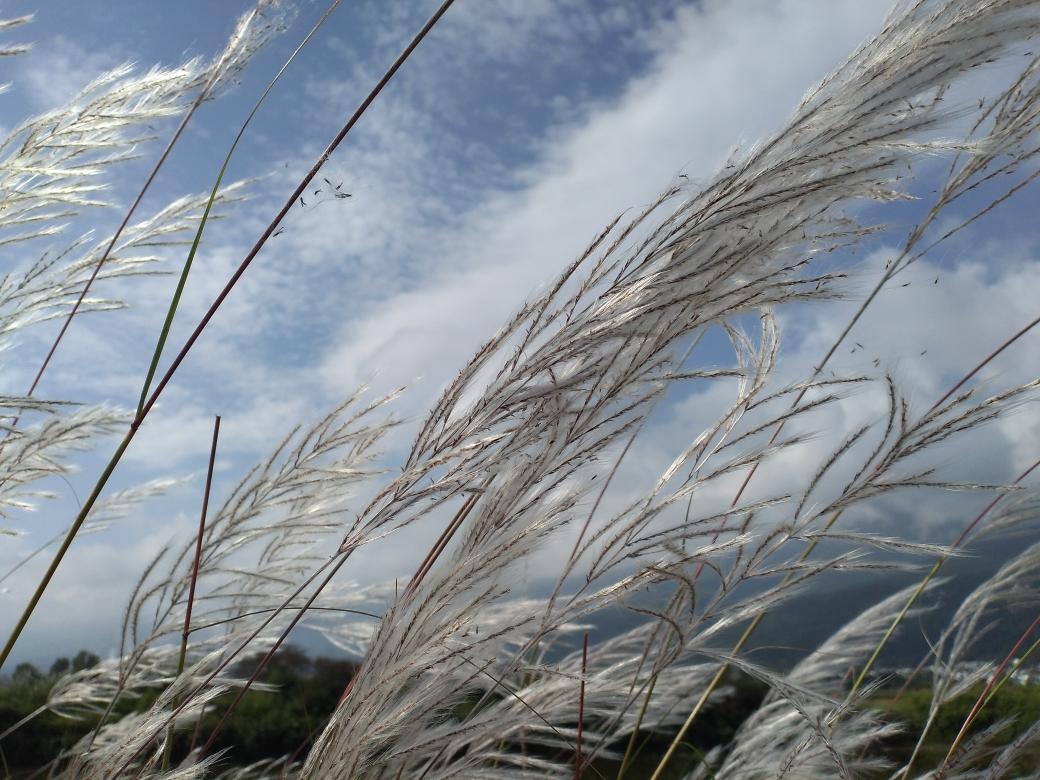 酱油醋糖凉菜汁完美比例