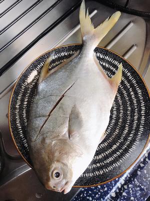 简单好吃红烧金鲳鱼的做法 步骤1