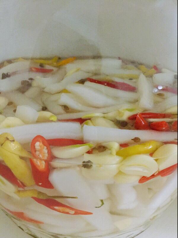 千金不換的泡蘿卜秘方