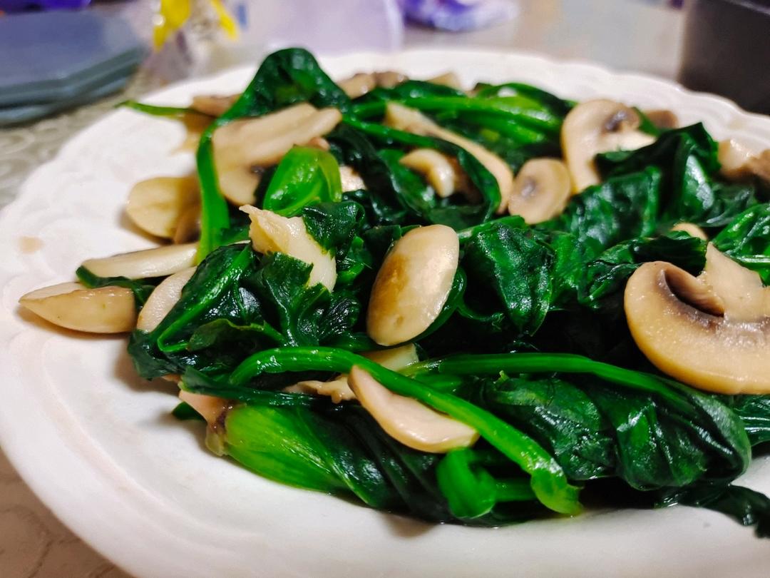 口蘑炒菠菜