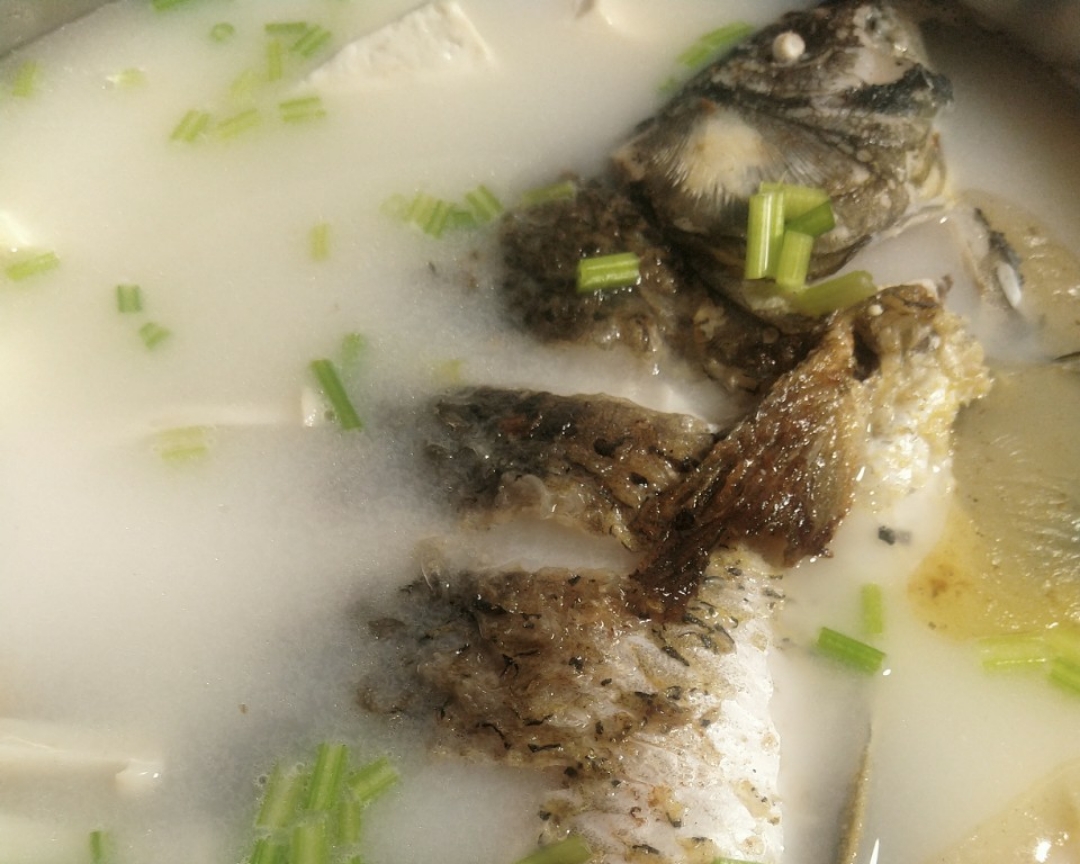 鱼汤煮出奶白色【鲫鱼豆腐汤】的做法