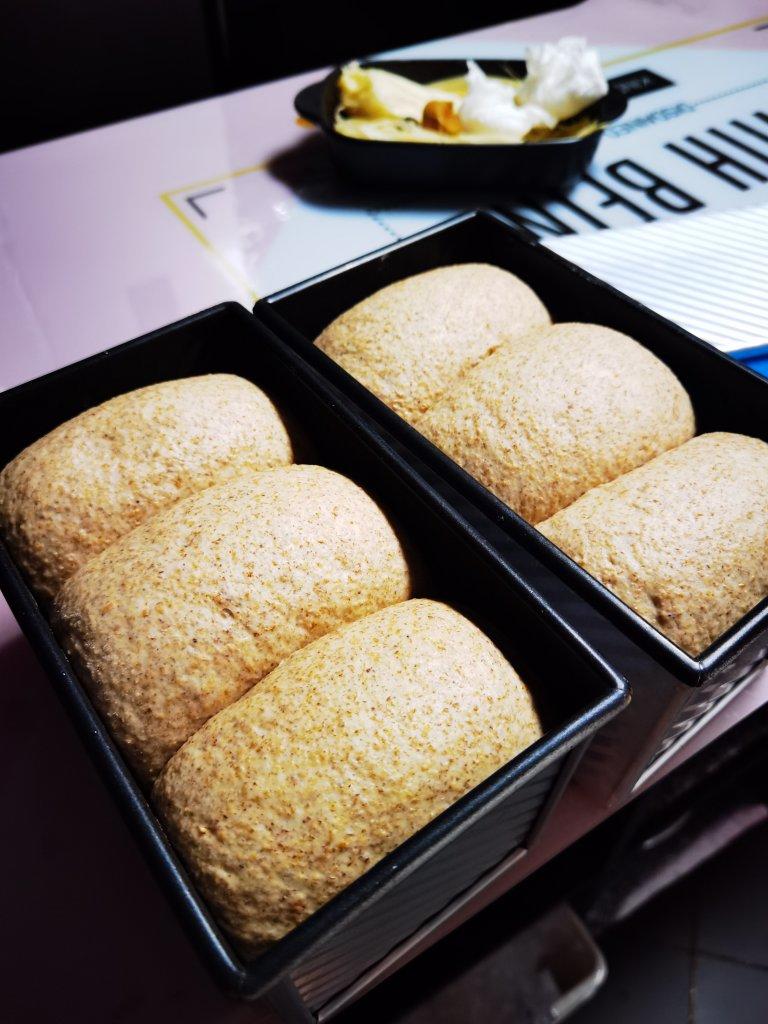 100%真•全麦吐司