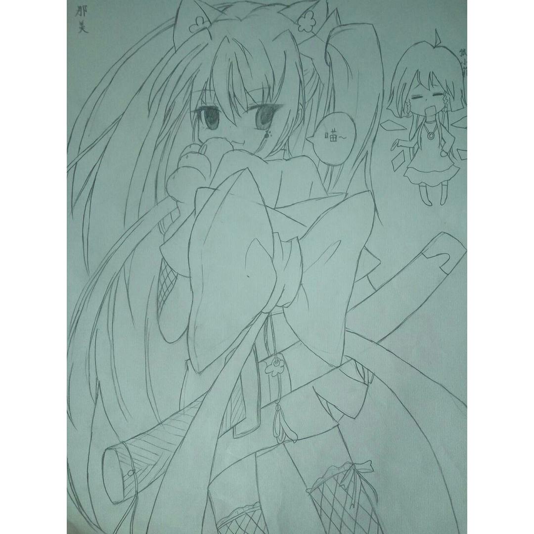 小樱茉莉过程图