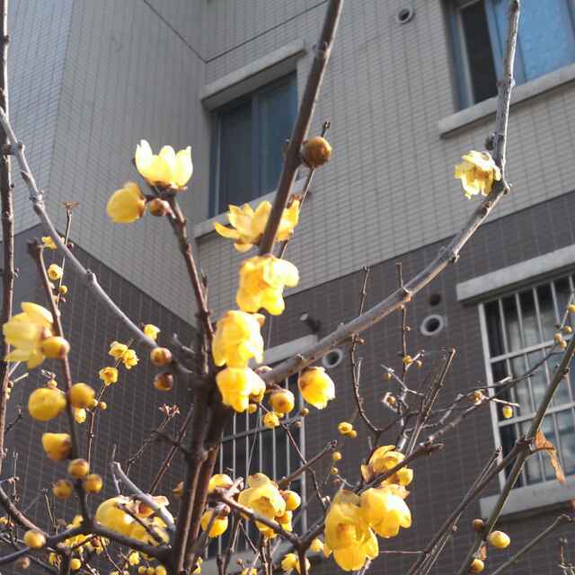 诚联电源专营1