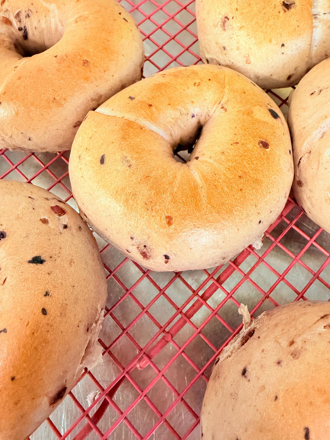 蓝莓🫐乳酪贝果🥯/步骤详细/简单好做