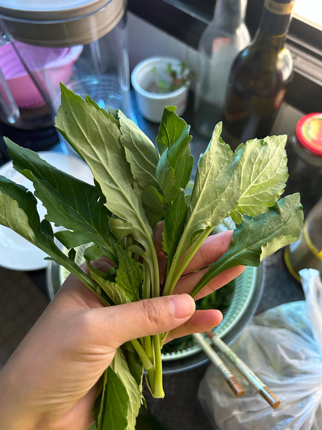 拌苦菜（蒲公英）