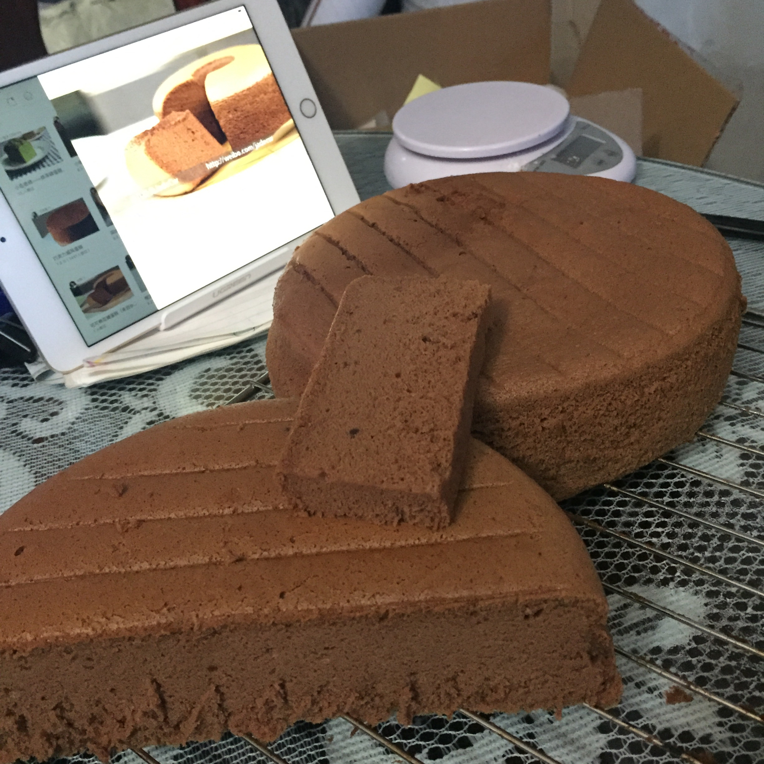 可可棉花糖蛋糕（来自@八卦兔JadeCw）