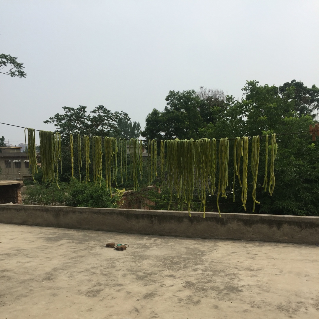 自制长豆角干