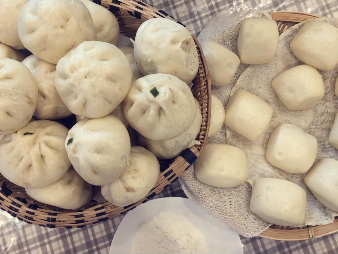 适用所有面包的中种面团